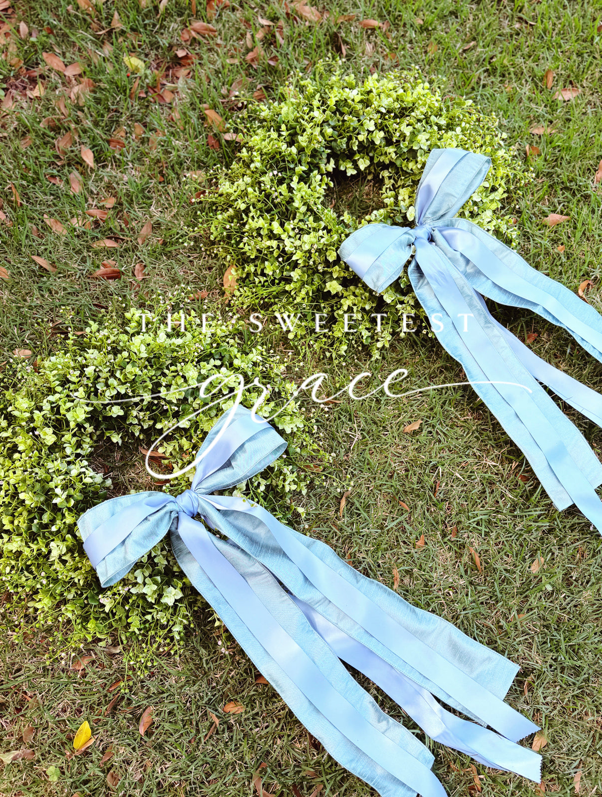 TSG Boxwood (Celadon)