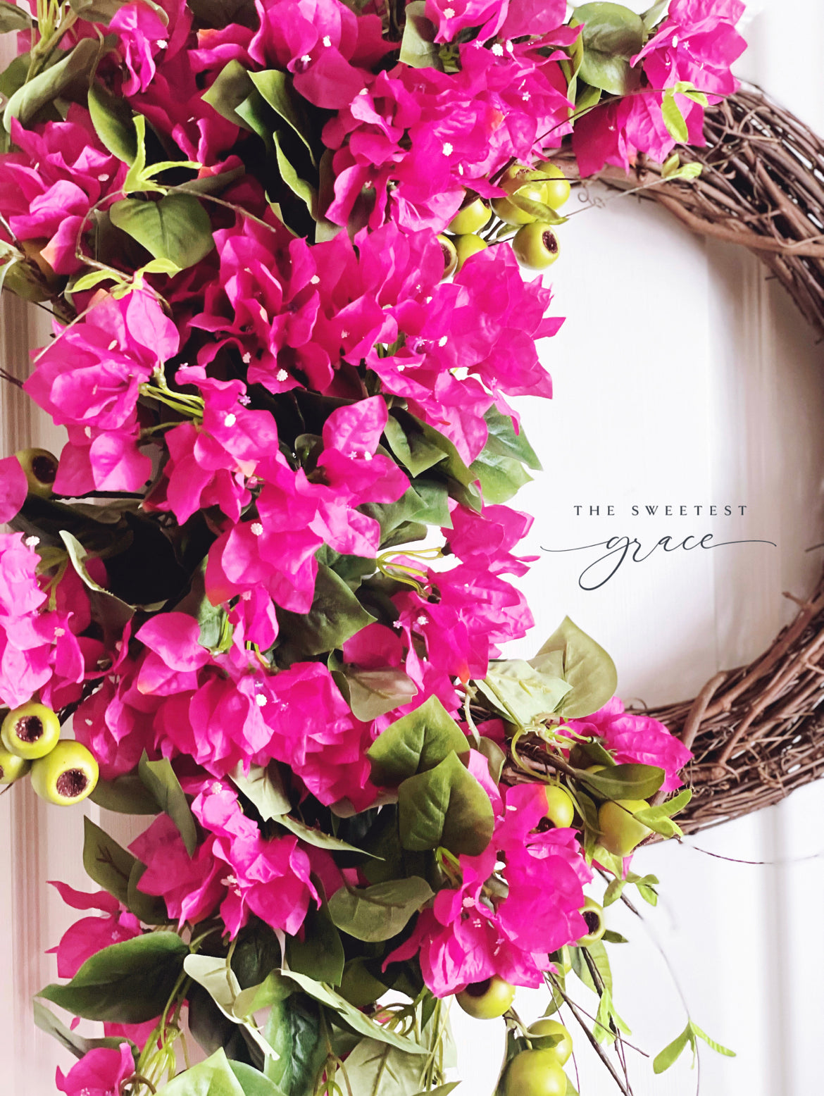 Bougainvillea