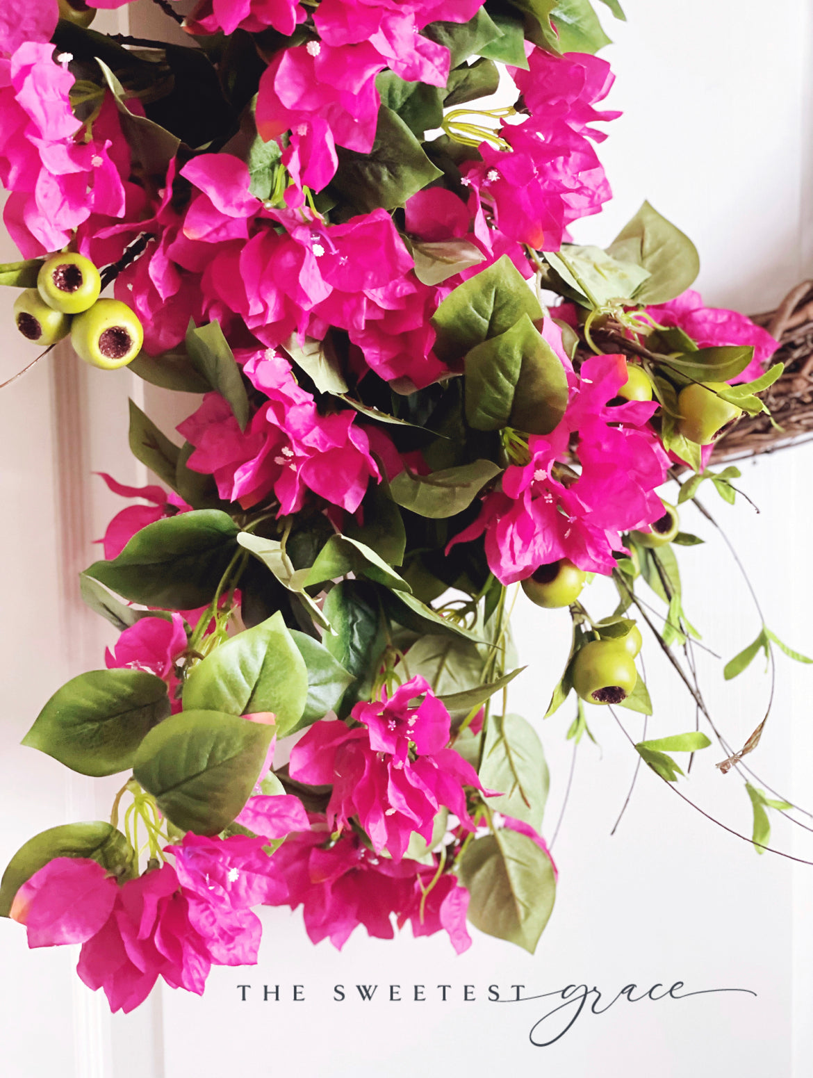 Bougainvillea