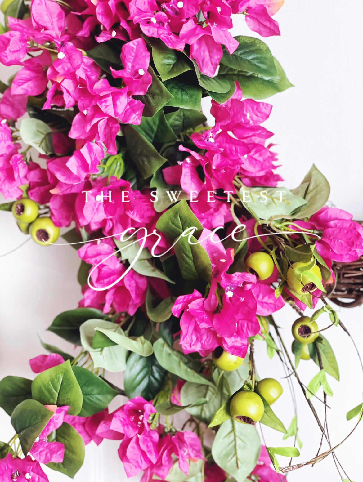 Bougainvillea